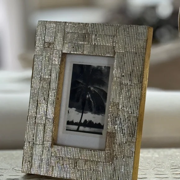 Elegant & Vintage Miami disco ball frame & antique photo of palm trees in Miami. - Picture 8 of 10